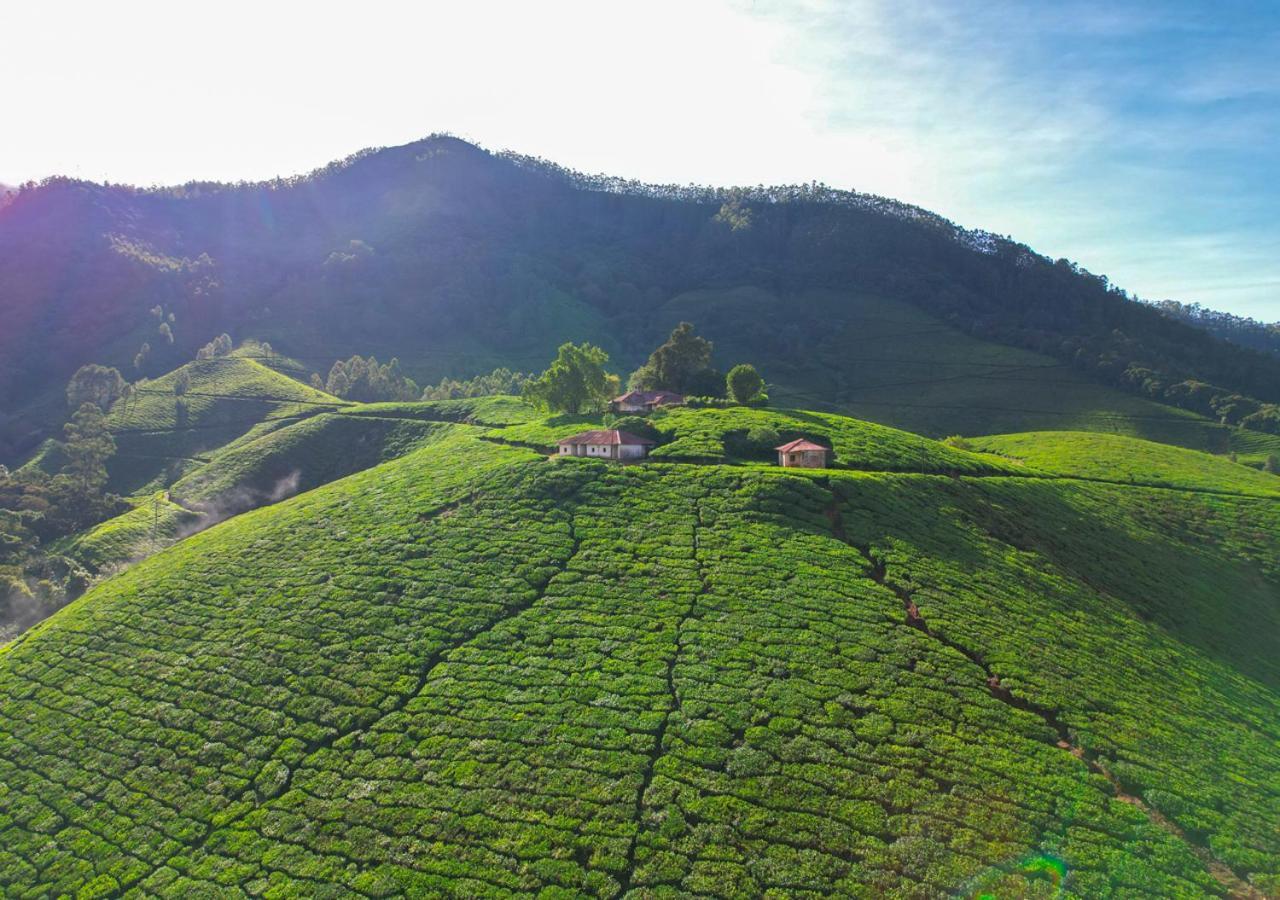 Arivikad Tea Bungalow Munnar By Voye Homes Suryanelli エクステリア 写真