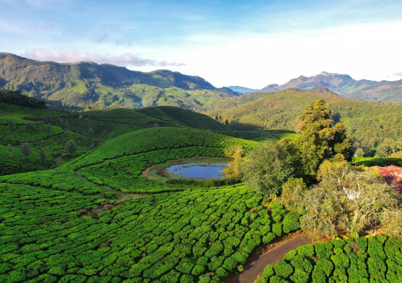 Arivikad Tea Bungalow Munnar By Voye Homes Suryanelli エクステリア 写真