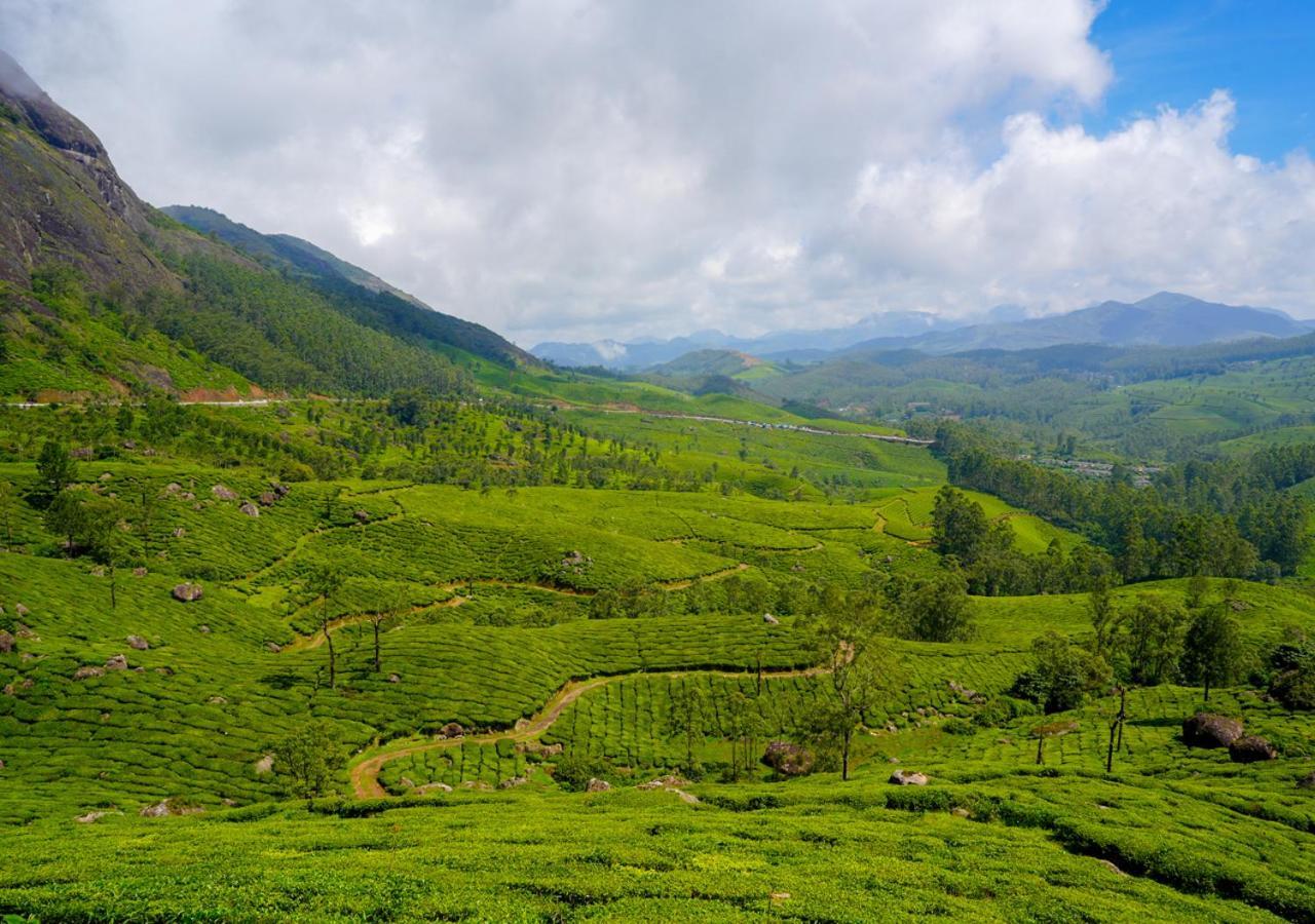 Arivikad Tea Bungalow Munnar By Voye Homes Suryanelli エクステリア 写真